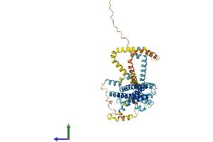 AlphaFold protein structure predicition of Human Recombinant PLIN5 Protein, UniprotID Q00G26