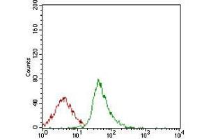 Flow cytometric analysis of Jurkat cells using SYCP3 mouse mAb (green) and negative control (red).