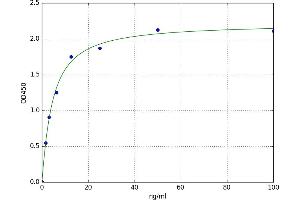 Semenogelin I (SEMG1) ELISA Kit
