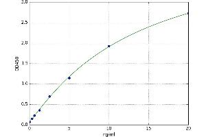 SMAD, Mothers Against DPP Homolog 1 (SMAD1) ELISA Kit