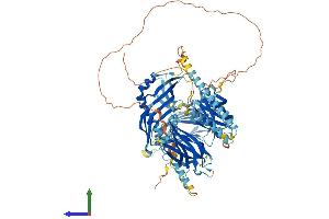AlphaFold protein structure predicition of Mouse Recombinant Esyt2 Protein, UniprotID Q3TZZ7