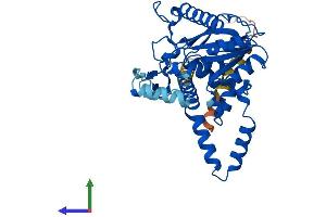 AlphaFold protein structure predicition of Human Recombinant DGAT2 Protein, UniprotID Q96PD7