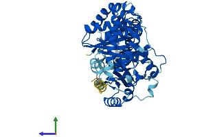 AlphaFold protein structure predicition of Human Recombinant TUBA3E Protein, UniprotID Q6PEY2