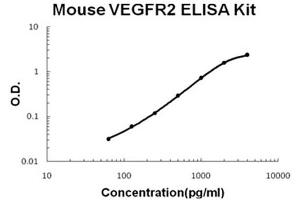 Mouse VEGFR2/KDR Accusignal ELISA Kit Mouse VEGFR2/KDR AccuSignal ELISA Kit standard curve. (VEGFR2/CD309 Kit ELISA)