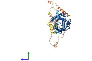 AlphaFold protein structure predicition of Human Recombinant CNR1 Protein, UniprotID P21554