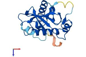 AlphaFold protein structure predicition of Mouse Recombinant Ube2ql1 Protein, UniprotID A0PJN4