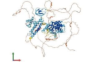 AlphaFold protein structure predicition of Human Recombinant KSR1 Protein, UniprotID Q8IVT5