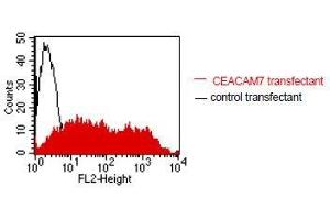 FACS analysis of BOSC23 cells using BAC2. (CEACAM7 anticorps)