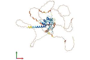 AlphaFold protein structure predicition of Human Recombinant ZBTB3 Protein, UniprotID Q9H5J0