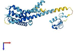 AlphaFold protein structure predicition of Mouse Recombinant Pex10 Protein, UniprotID B1AUE5
