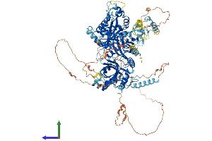 AlphaFold protein structure predicition of Human Recombinant POP1 Protein, UniprotID Q99575