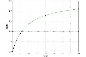 CD3 epsilon (CD3E) ELISA Kit
