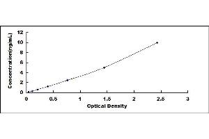 Typical standard curve (MRPL53 Kit ELISA)