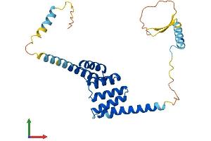 AlphaFold protein structure predicition of Human Recombinant TTC33 Protein, UniprotID Q6PID6