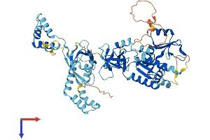 AlphaFold protein structure predicition of Human Recombinant MPP7 Protein, UniprotID Q5T2T1