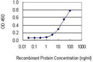 Detection limit for recombinant GST tagged STRADB is 1 ng/ml as a capture antibody.