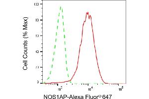 Flow cytometric analysis of NOS1AP expression in HepG2 cells using NOS1AP antibody (ABIN7799605), 1:2,000). (Recombinant NOS1AP anticorps)