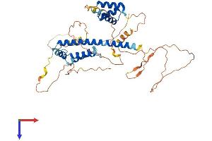 AlphaFold protein structure predicition of Human Recombinant PKNOX1 Protein, UniprotID P55347