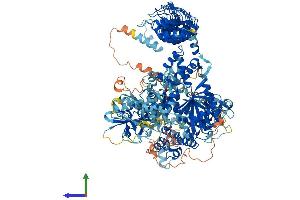 AlphaFold protein structure predicition of Human Recombinant DAPK1 Protein, UniprotID P53355