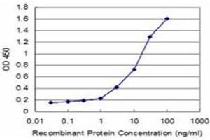 Detection limit for recombinant GST tagged SFRS6 is approximately 0.