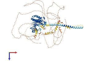 AlphaFold protein structure predicition of Mouse Recombinant Map3k13 Protein, UniprotID Q1HKZ5
