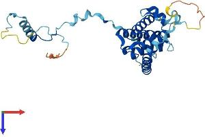 AlphaFold protein structure predicition of Mouse Recombinant Gemin2 Protein, UniprotID Q9CQQ4