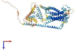 AlphaFold protein structure predicition of Mouse Recombinant Tmc6 Protein, UniprotID Q7TN60