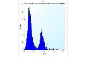 CA1 Antibody (N-term) (ABIN656574 and ABIN2845835) flow cytometric analysis of HE cells (right histogram) compared to a negative control cell (left histogram).