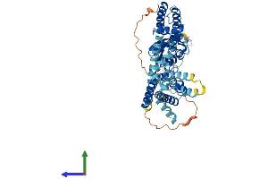 AlphaFold protein structure predicition of Mouse Recombinant Kcnf1 Protein, UniprotID Q7TSH7