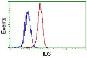 Image no. 2 for anti-Inhibitor of DNA Binding 3, Dominant Negative Helix-Loop-Helix Protein (ID3) antibody (ABIN1498780) (ID3 anticorps)