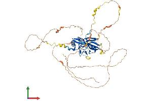 AlphaFold protein structure predicition of Mouse Recombinant Tbx21 Protein, UniprotID Q9JKD8