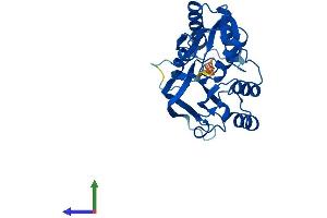 AlphaFold protein structure predicition of Mouse Recombinant Dph6 Protein, UniprotID Q9CQ28