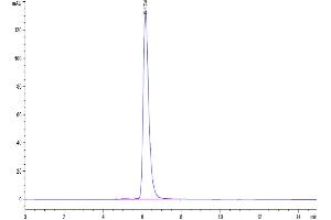 The purity of Biotinylated Human E-selectin is greater than 95 % as determined by SEC-HPLC.