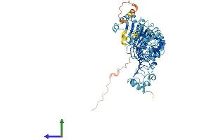 AlphaFold protein structure predicition of Mouse Recombinant Lrrc40 Protein, UniprotID Q9CRC8