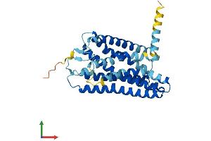 AlphaFold protein structure predicition of Human Recombinant OR2C3 Protein, UniprotID Q8N628