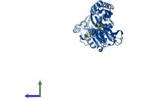 AlphaFold protein structure predicition of Human Recombinant ENTPD2 Protein, UniprotID Q9Y5L3