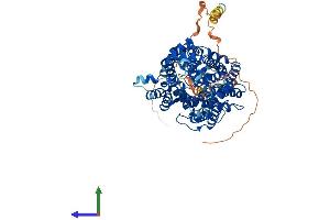 AlphaFold protein structure predicition of Mouse Recombinant Slc6a9 Protein, UniprotID P28571