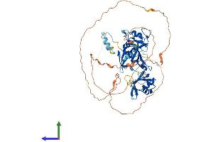 AlphaFold protein structure predicition of Mouse Recombinant Cpeb1 Protein, UniprotID P70166