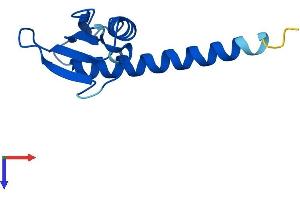 AlphaFold protein structure predicition of Human Recombinant POLR2J2 Protein, UniprotID Q9GZM3