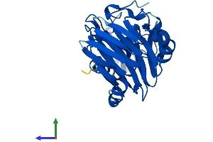 AlphaFold protein structure predicition of Human Recombinant HAAO Protein, UniprotID P46952