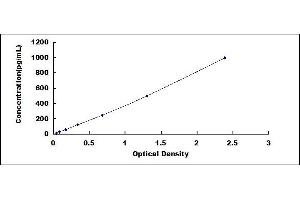 Typical standard curve (FGF17 Kit ELISA)