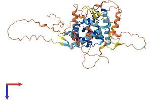 AlphaFold protein structure predicition of Mouse Recombinant Nr0b1 Protein, UniprotID Q61066