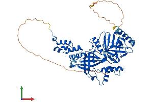 AlphaFold protein structure predicition of Mouse Recombinant Fbxo31 Protein, UniprotID Q3TQF0