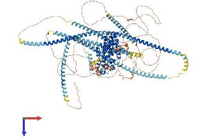 AlphaFold protein structure predicition of Mouse Recombinant Ppfia3 Protein, UniprotID P60469