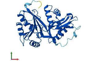 AlphaFold protein structure predicition of Human Recombinant GLYATL3 Protein, UniprotID Q5SZD4