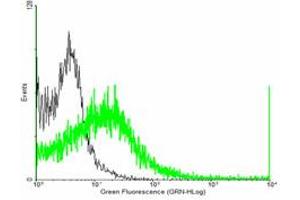 FACS analysis of negative control 293 cells (Black) and RGS7 expressing 293 cells (Green) using RGS7 purified MaxPab mouse polyclonal antibody.