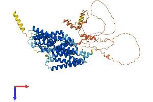 AlphaFold protein structure predicition of Mouse Recombinant Slc20a1 Protein, UniprotID Q61609