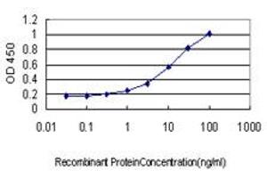 Detection limit for recombinant GST tagged ICA1 is approximately 0. (ICA1 anticorps  (AA 1-110))