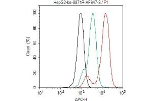 HepG2 cells probed with CXCL16 Polyclonal Antibody, ALEXA FLUOR® 647 Conjugated (bs-8871R-A647) compared to control cells (black) and isotype control (green).