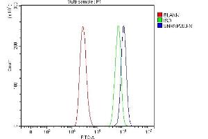 Flow Cytometry analysis of A431 cells using anti-SNRNP200 antibody (ABIN7602032).